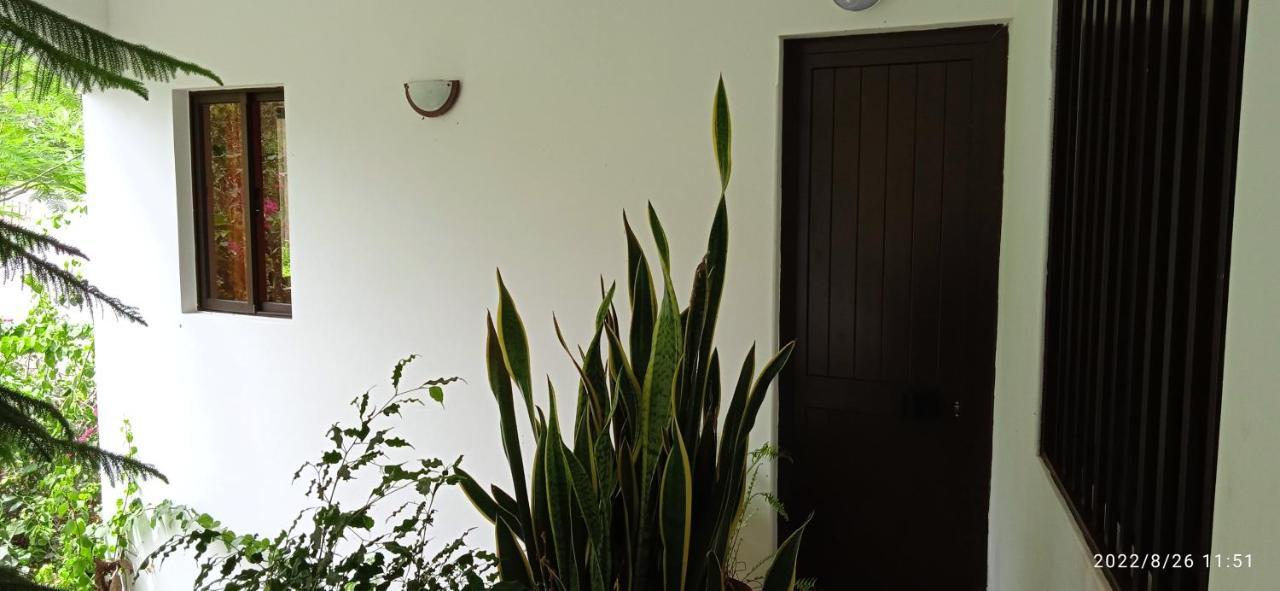 Damontanha 2 Apartment Ribeira Grande ภายนอก รูปภาพ